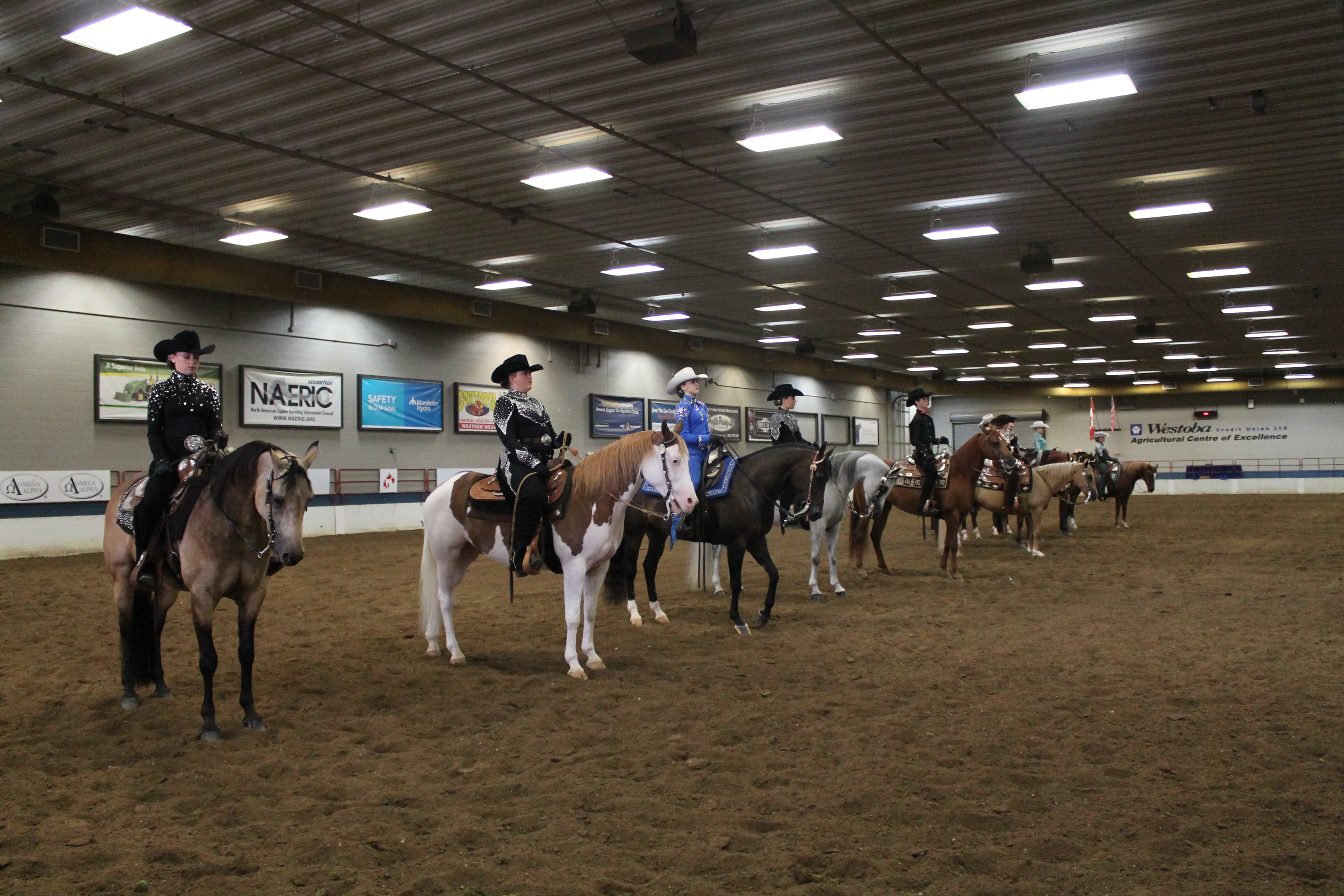 Canadian Arabian and Half Arabian Horse Show