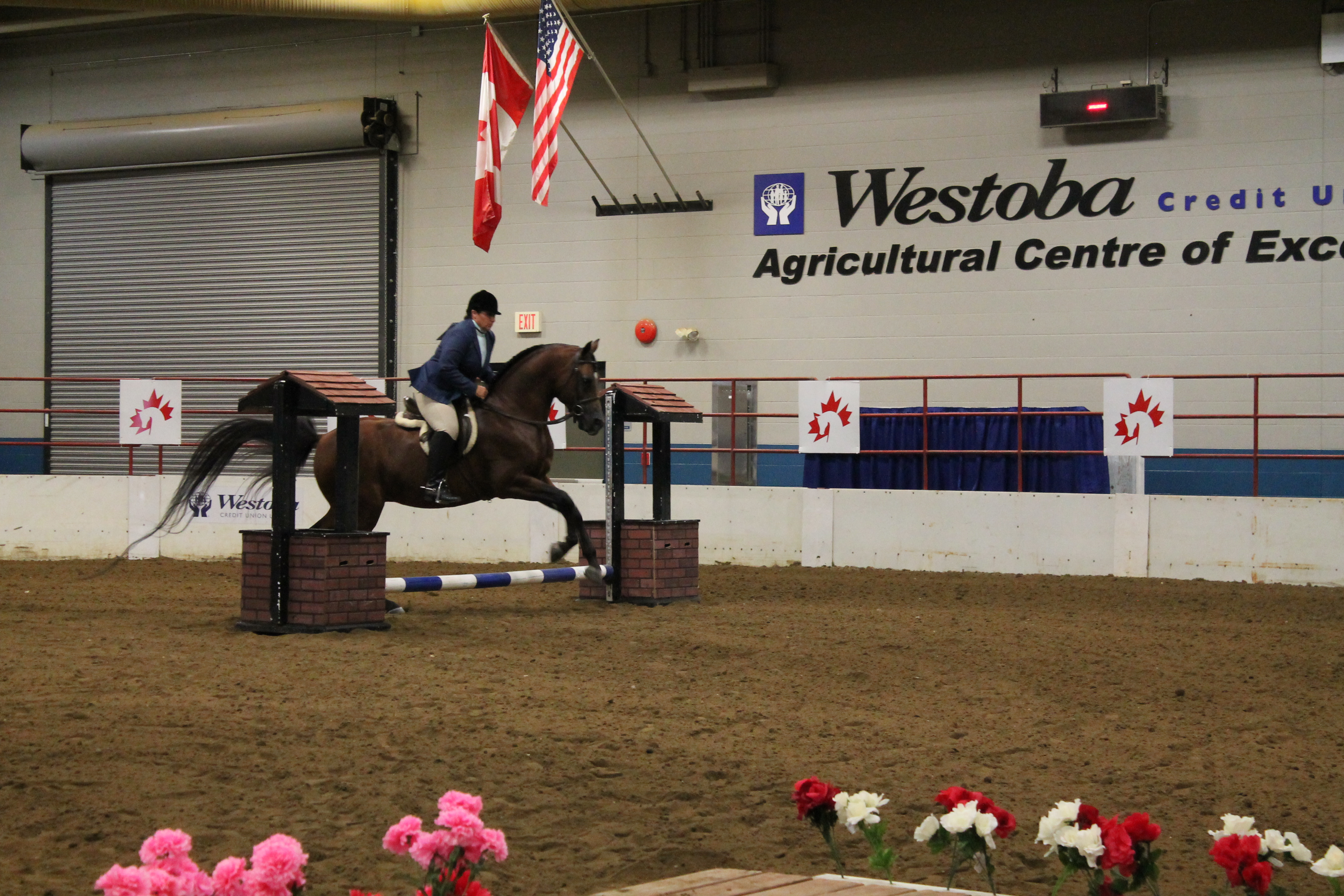 Canadian Arabian and Half Arabian Horse Show