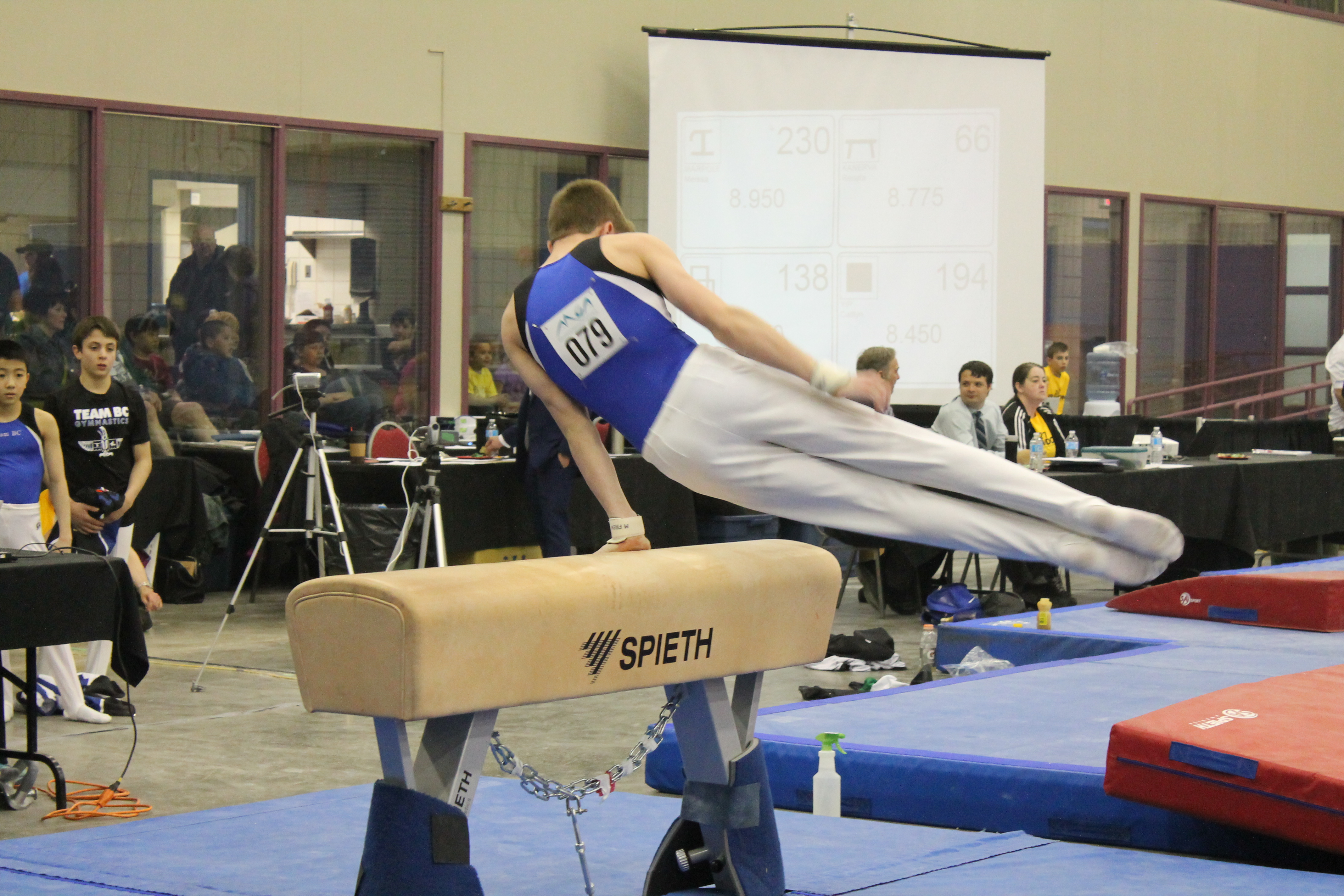 Western Canadian Artistic Gymnastics