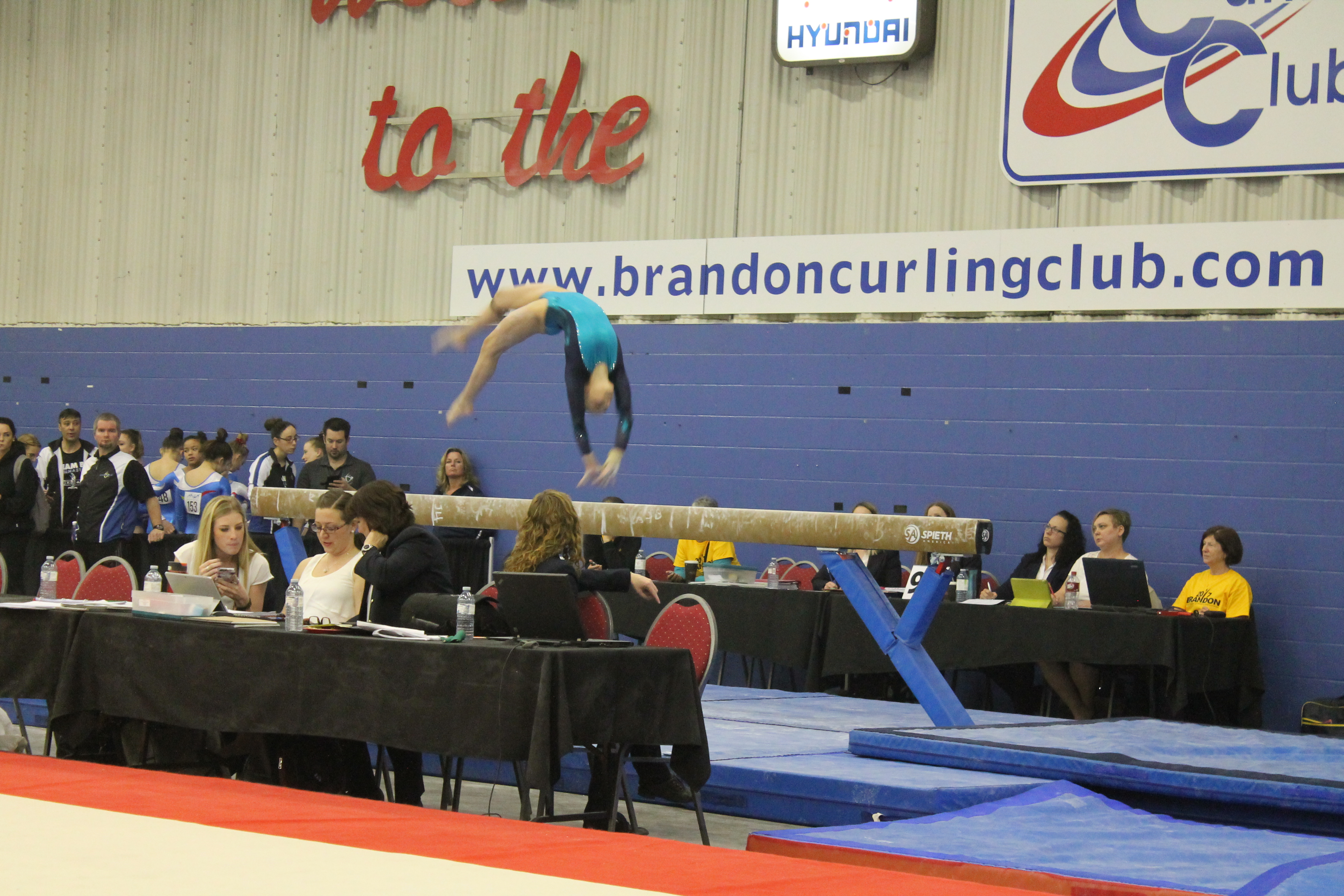 Western Canadian Artistic Gymnastics