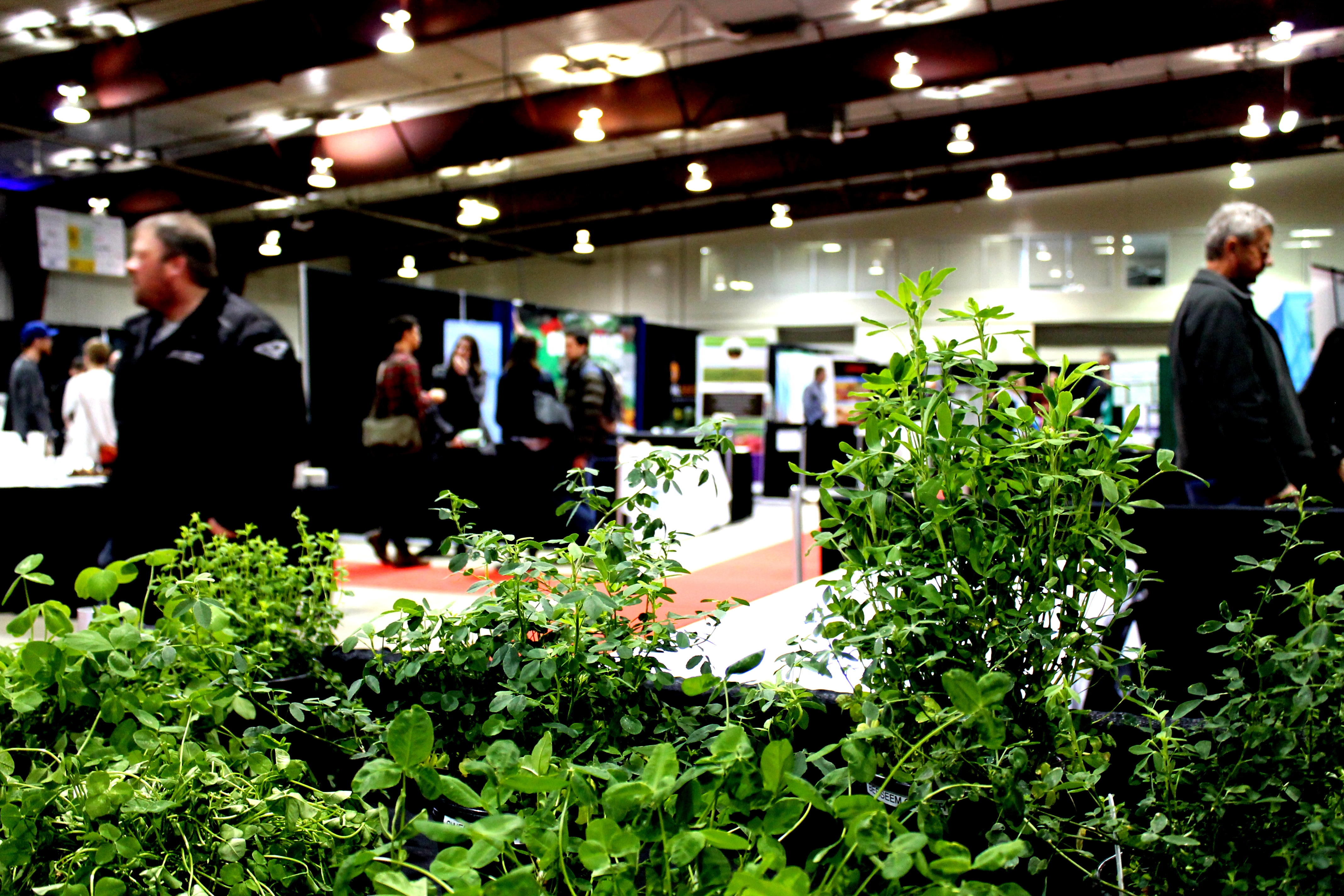 Prairie Organics : Think Whole Farm
